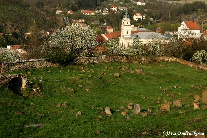 Židovský hřbitov VI
