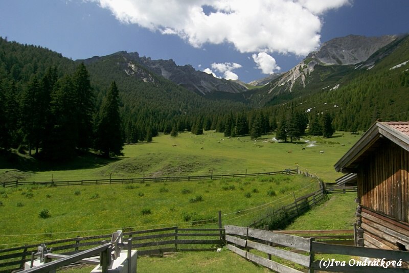 Ochsenalm 1584 m