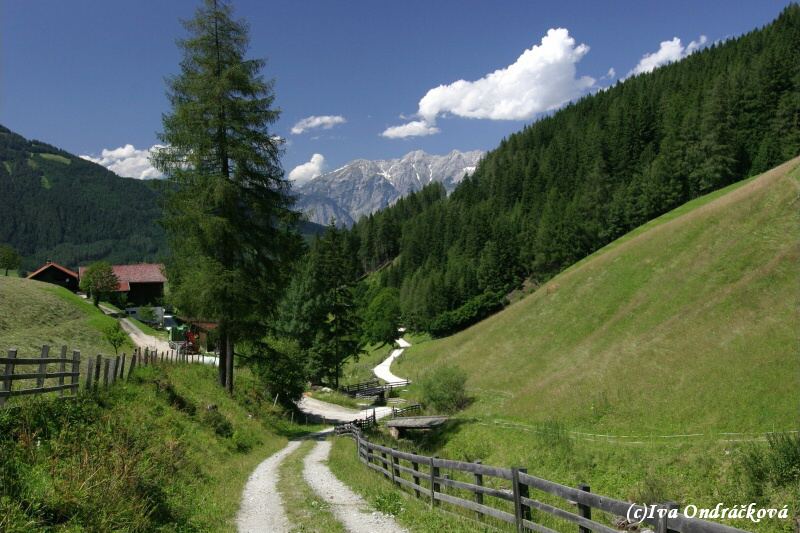 Zirkenhof 1205 m