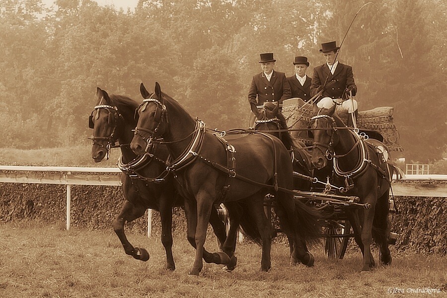 čtyřspřeží