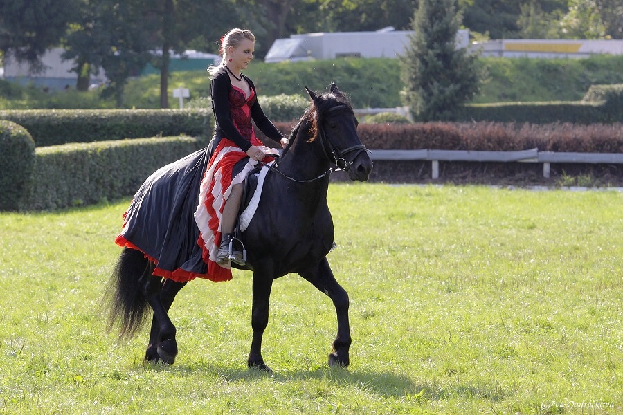 Pardubice III
