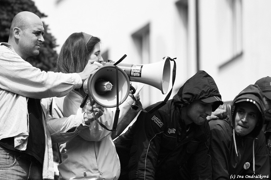 20110105_MAJ_428_11