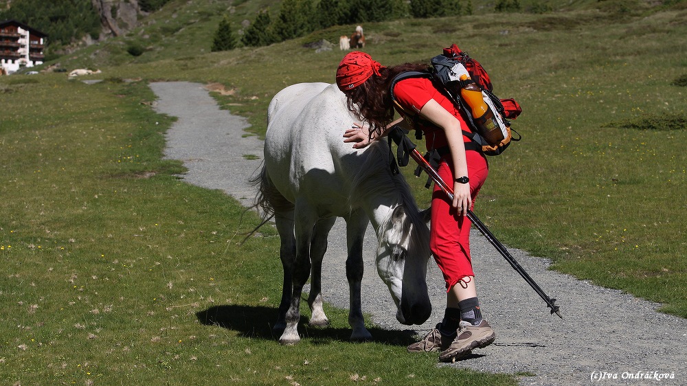 kolem farmy Rofen - chov Haflingů