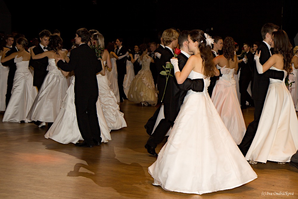 IMG_9620.jpg d