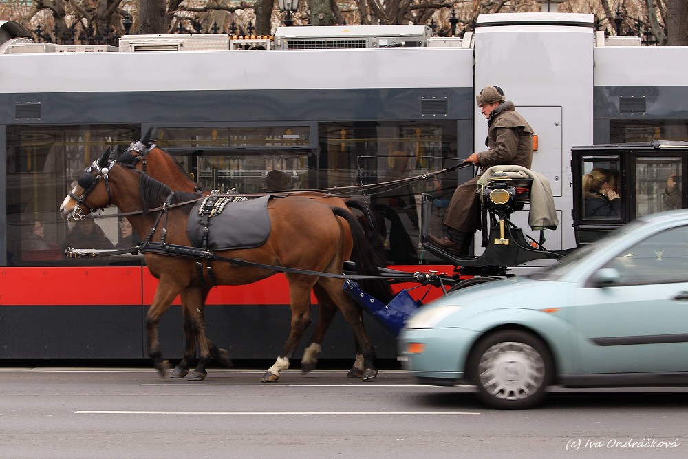 Wien IV