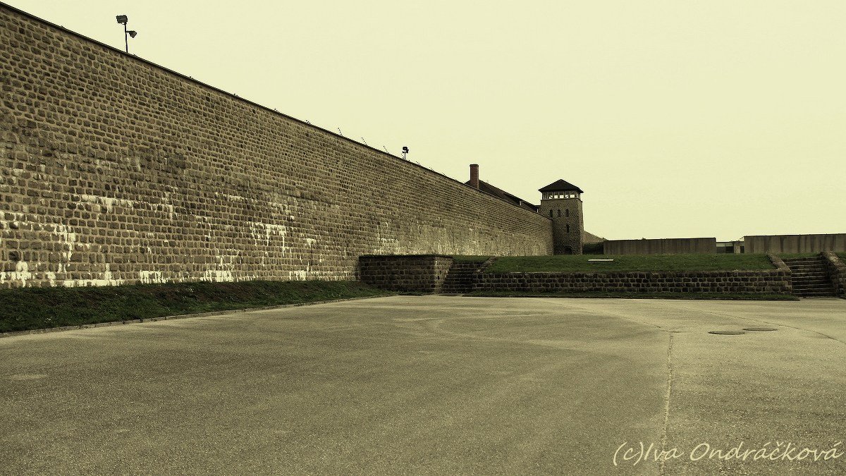 Mauthausen V