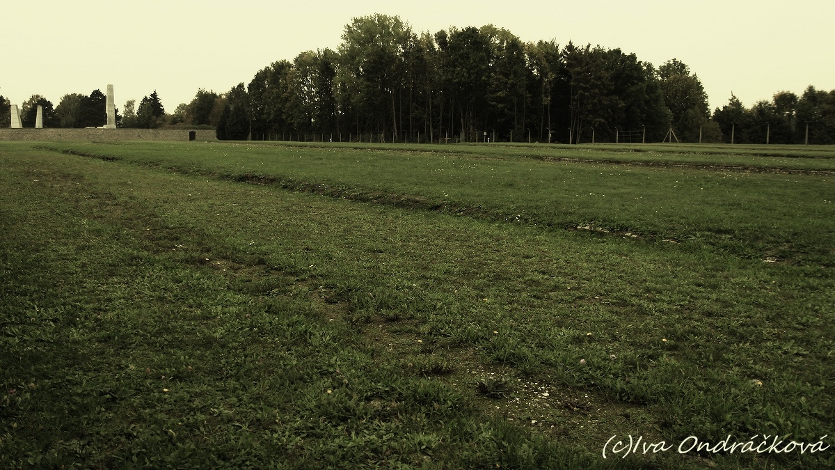 Mauthausen XXI