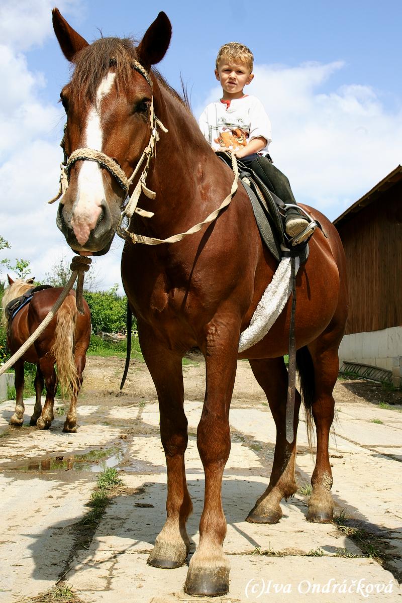 malý jezdec